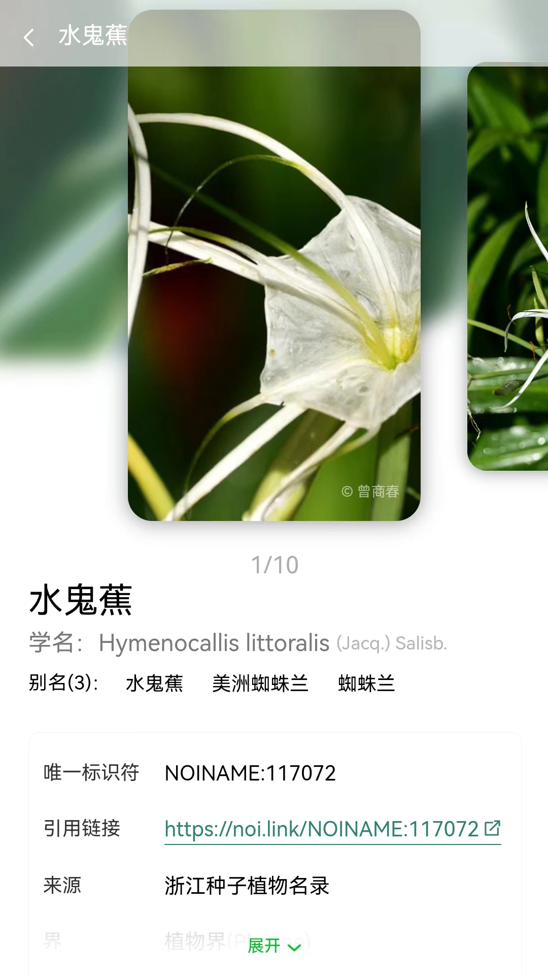 生命网格截图1