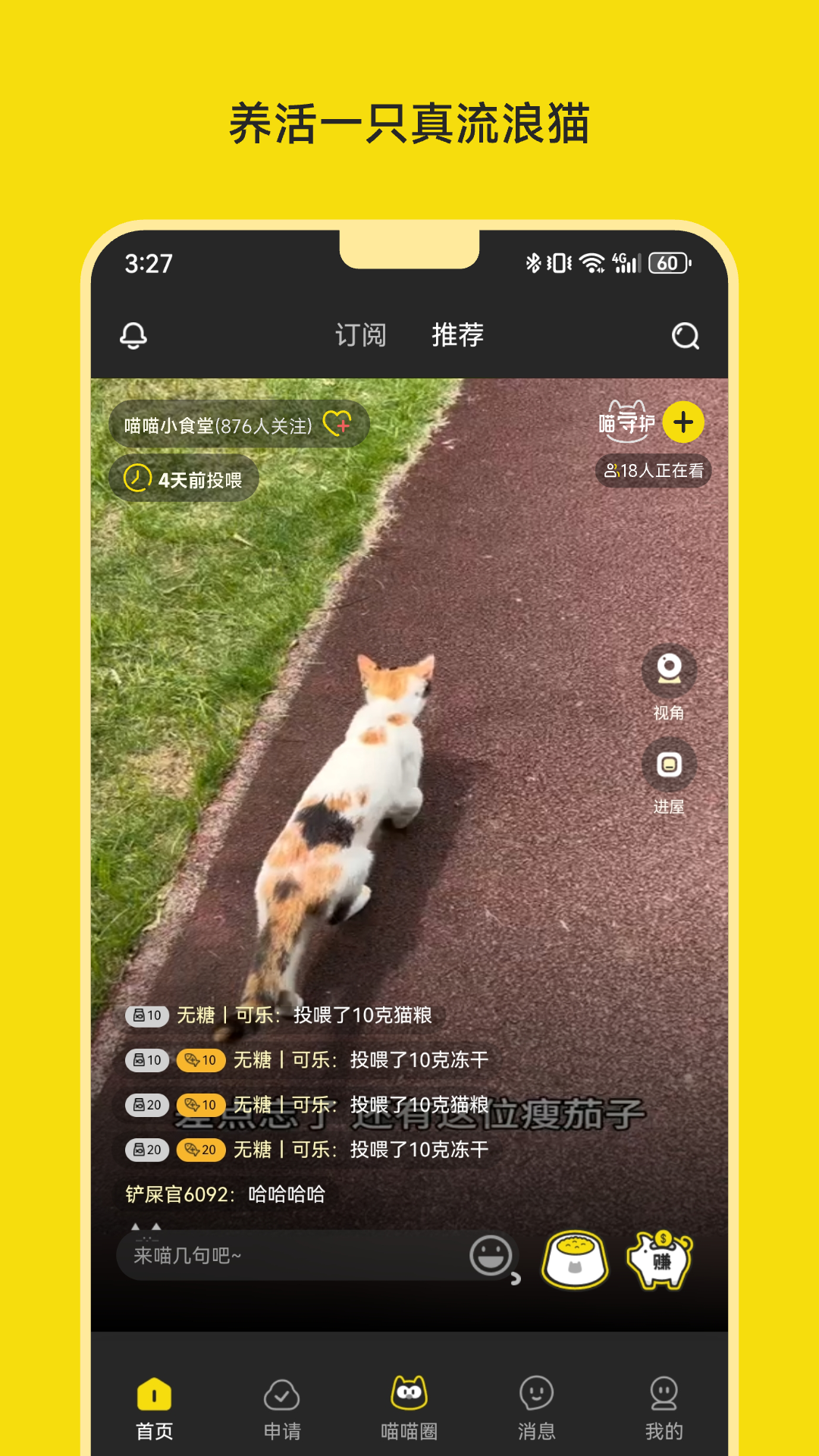 喵喵不易截图1