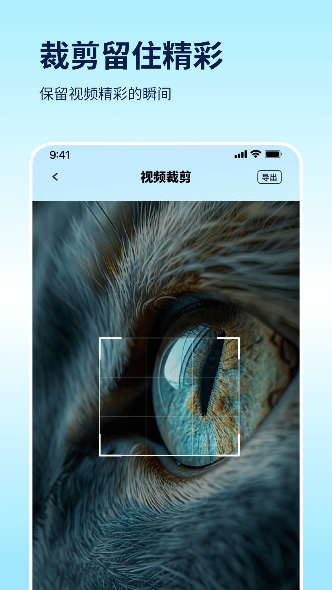 filmly全能播放器截图4