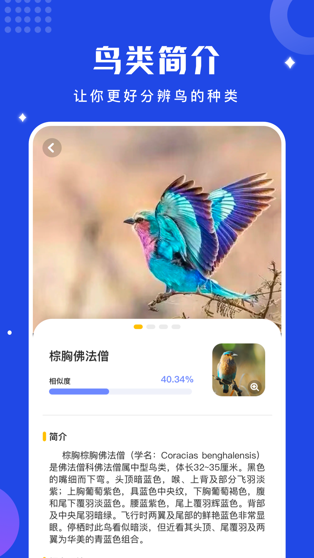 鸟语语言翻译器截图3