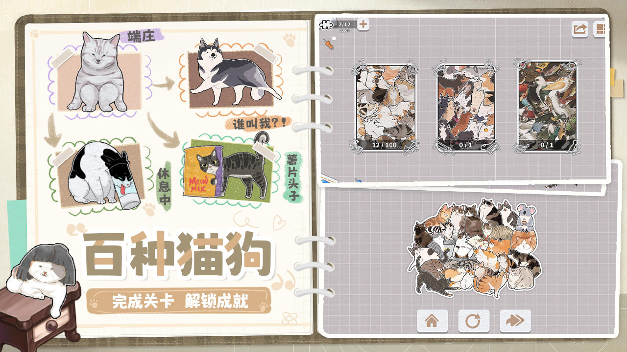 挤在一起的猫猫截图4