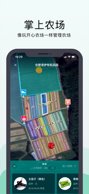 神农口袋截图2