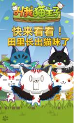 叫我猫主子H5截图2