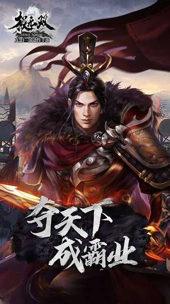 三国极无双截图2