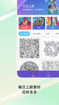 paint数字填色截图1