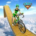 bmx自行车特技
