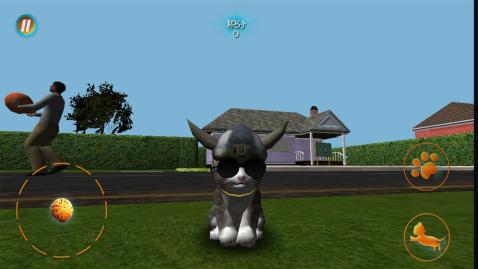 真实小猫3d模拟截图3