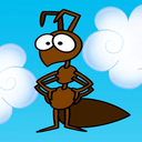 蜜蜂蚂蚁