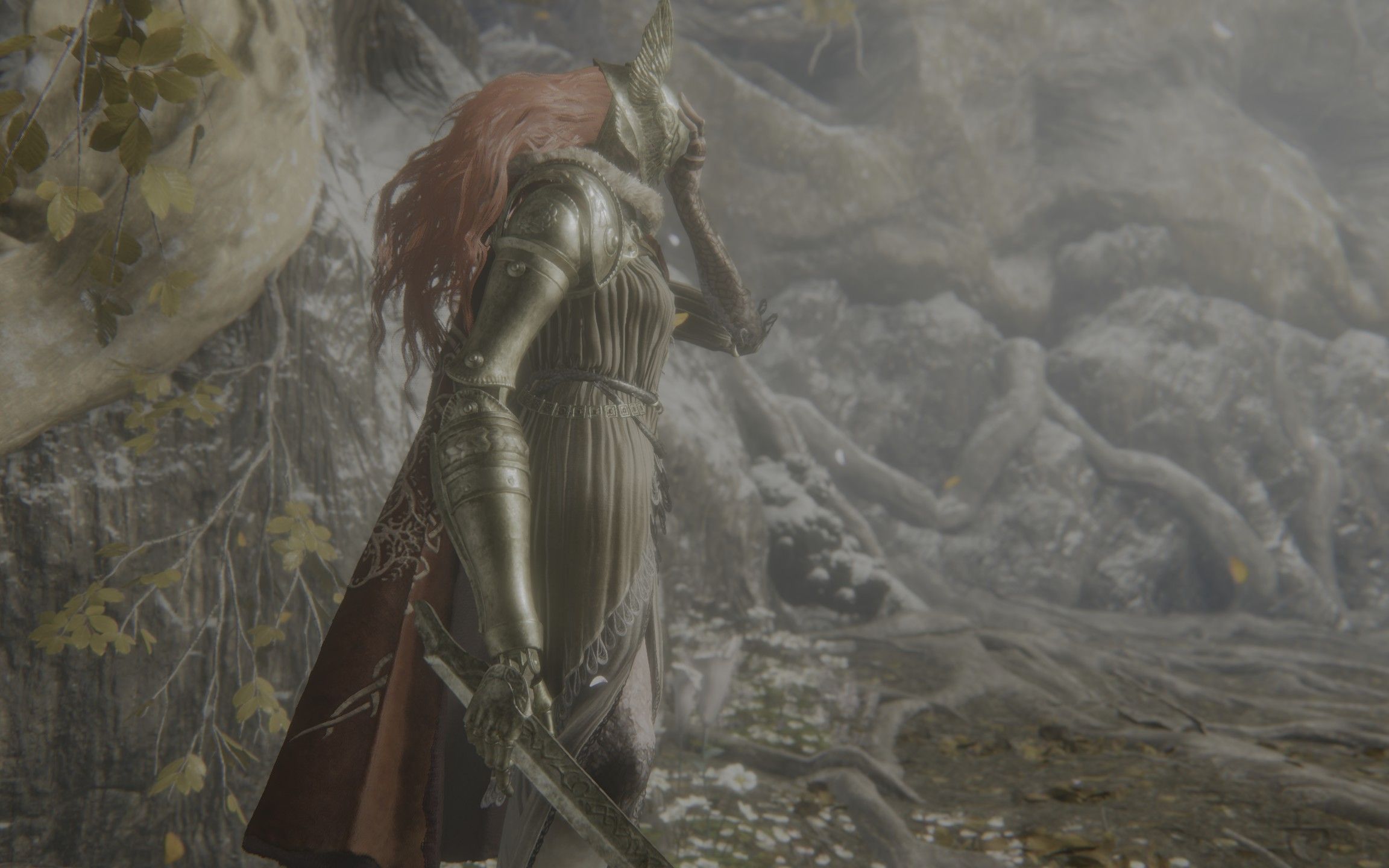 艾尔登法环锁帧怎么办 帧数对游戏有什么影响