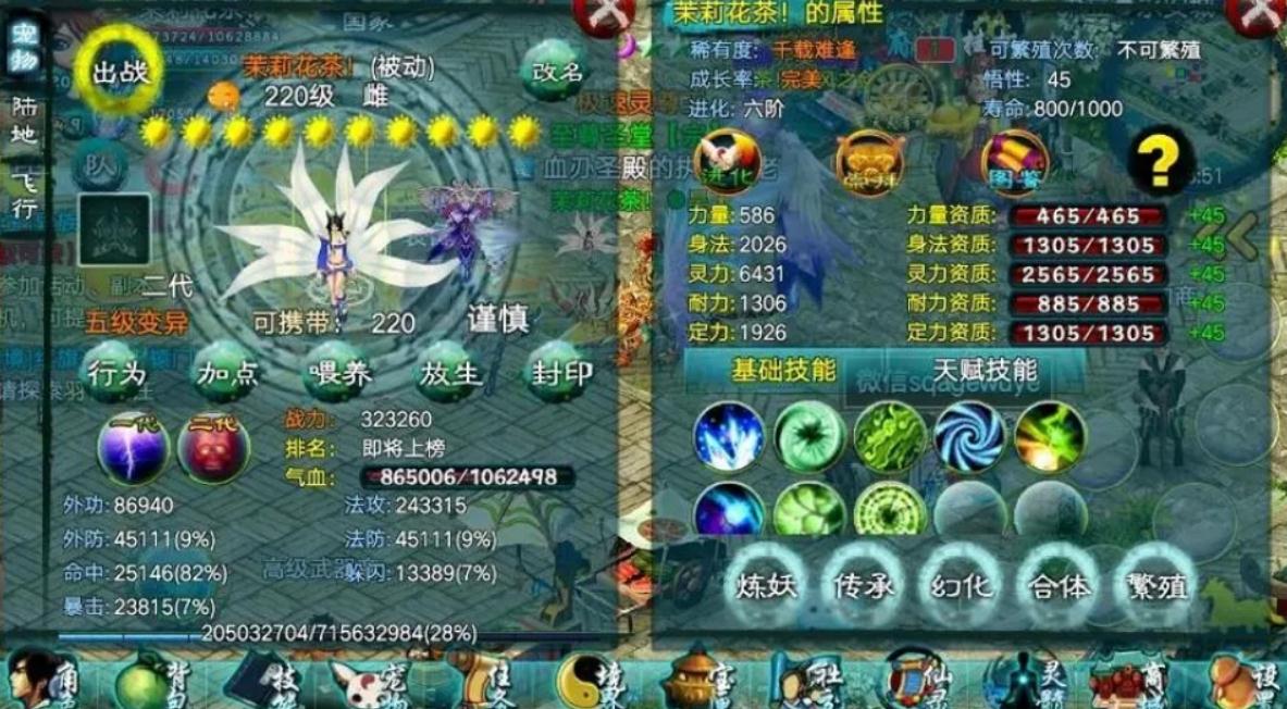 全民奇迹21转55在哪里