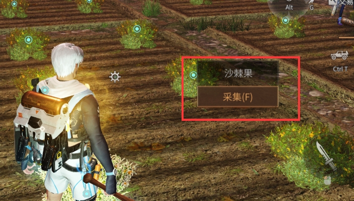 明日之后第三季选择什么职业 明日之后第三季选择什么职业