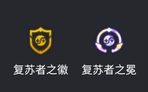 云顶之弈S13金丝猴阵容怎么选择符文和装备