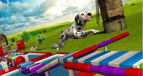 特技狗狗截图2