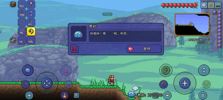 泰拉瑞亚最强的宠物是什么