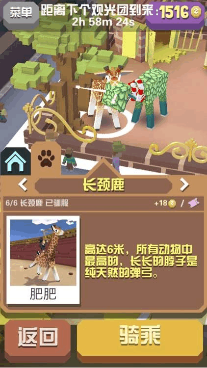 疯狂动物园怎么抓龙狼