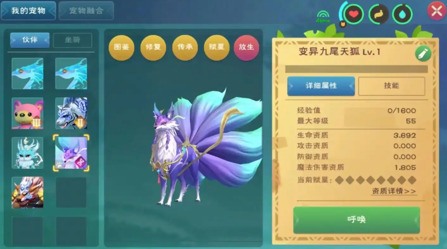 创造与魔法项圈可以抓什么宠物