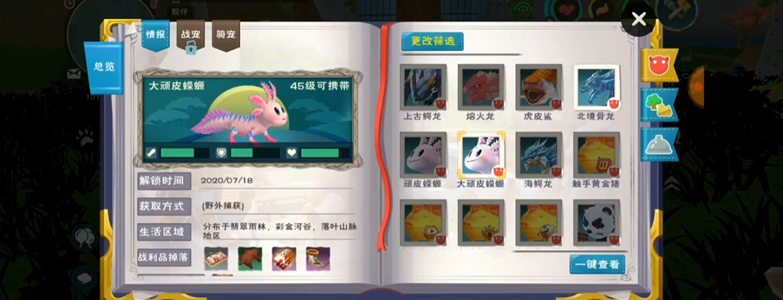 创造与魔法顽皮蝾螈多少包