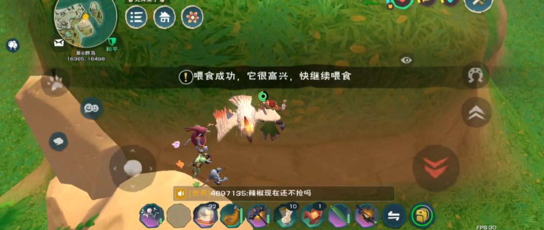 创造与魔法云斑鹦鸟饲料包怎么做