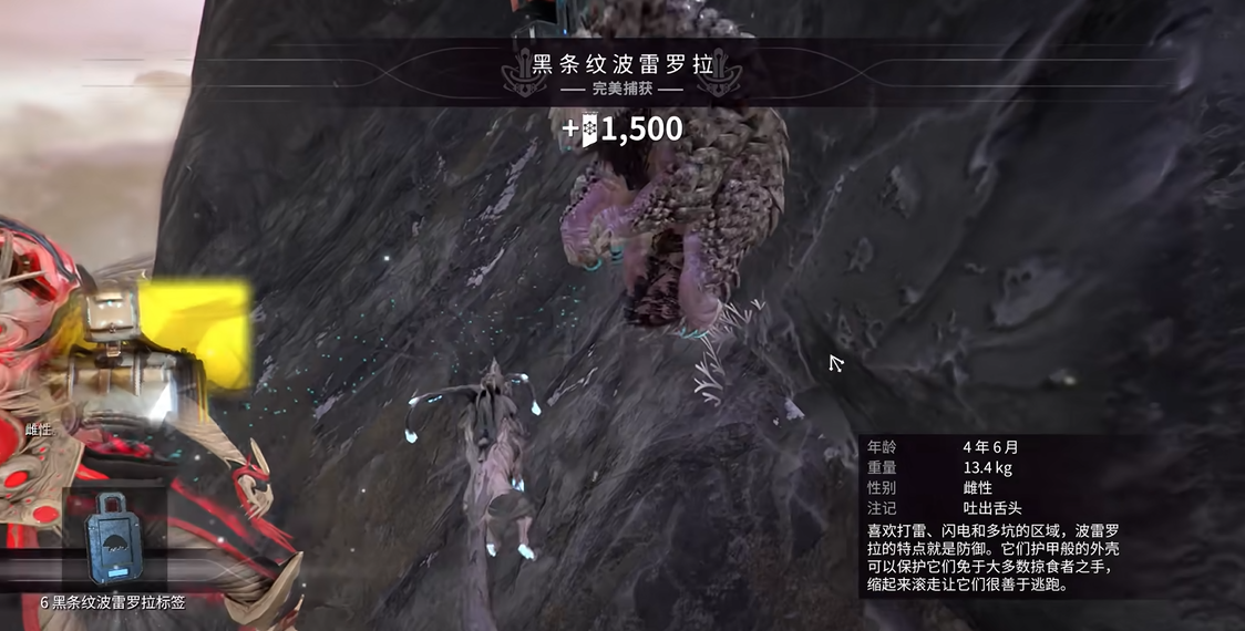 星际战甲动物捕捉需要什么