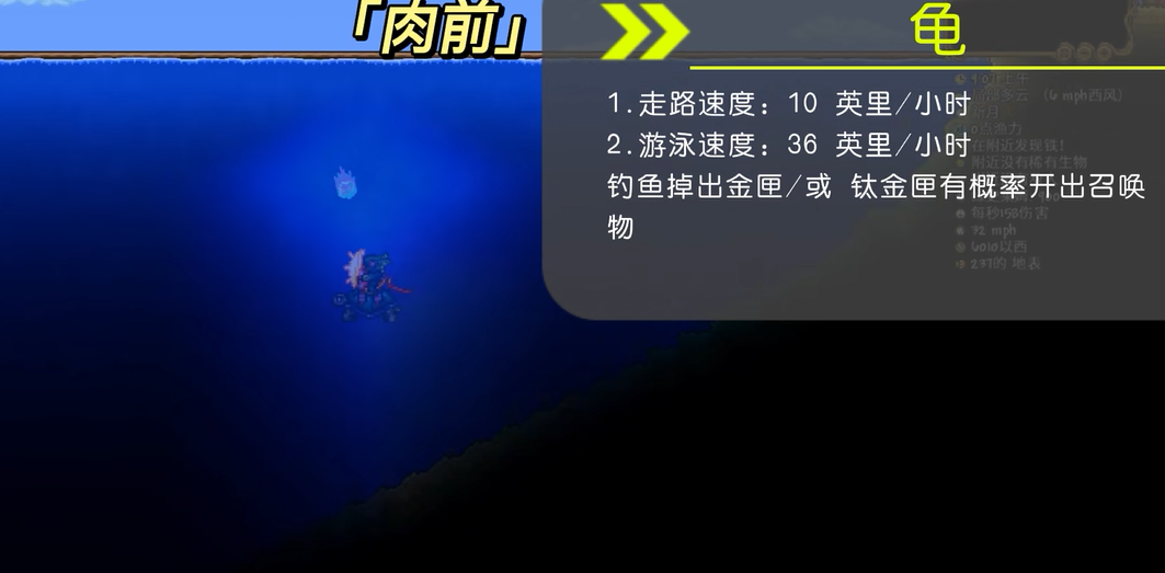泰拉瑞亚坐骑大全以及怎么获得