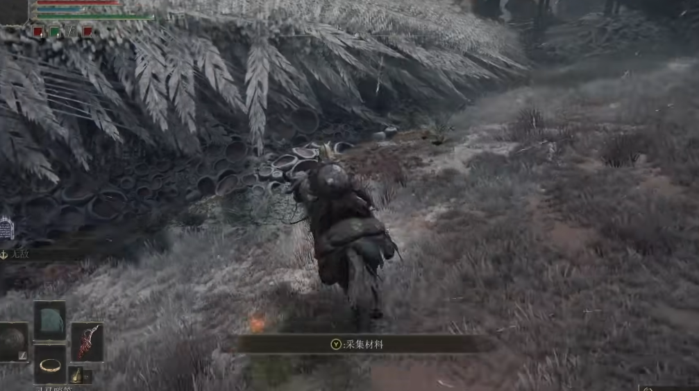 艾尔登法环龙墓白龙怎么救