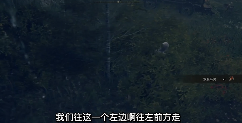 艾尔登法环梅琳娜在哪