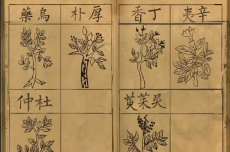 长生祭代面客前段过关方法是什么 长生祭代面客前段过关方法是什么