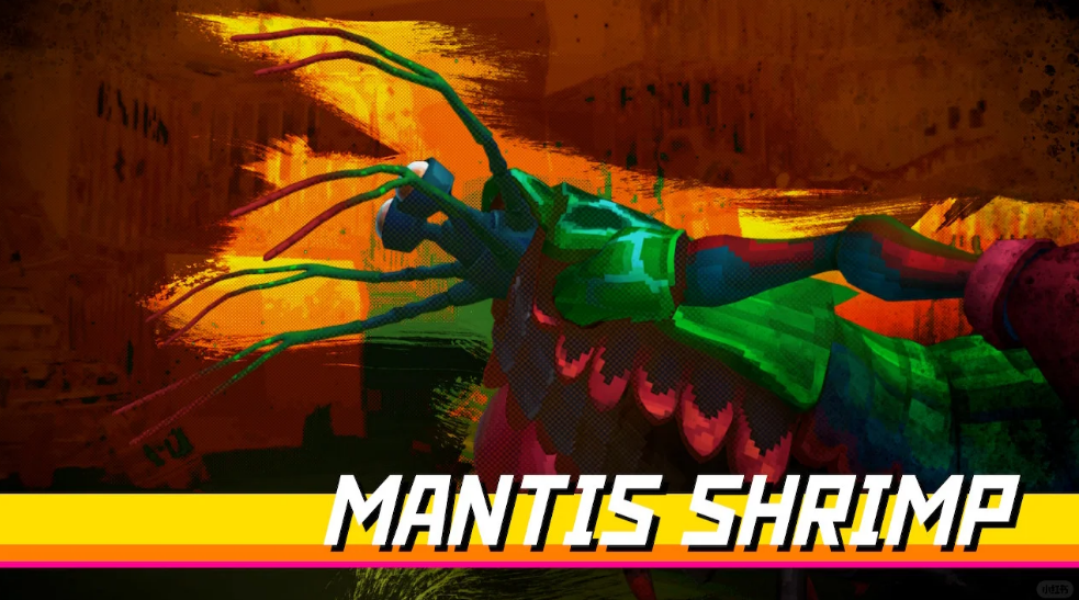 潜水员戴夫拳击螳螂虾如何应对