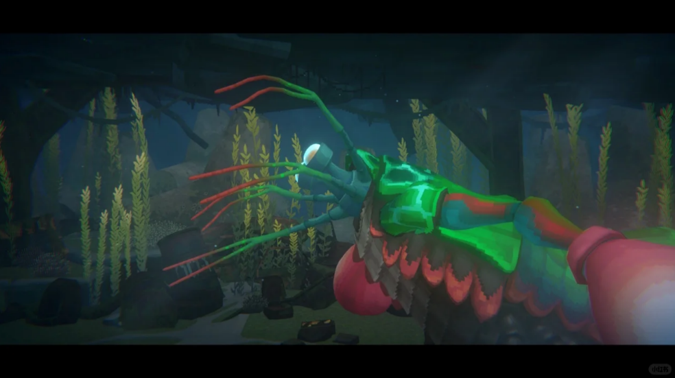 潜水员戴夫拳击螳螂虾如何应对 潜水员戴夫拳击螳螂虾如何应对