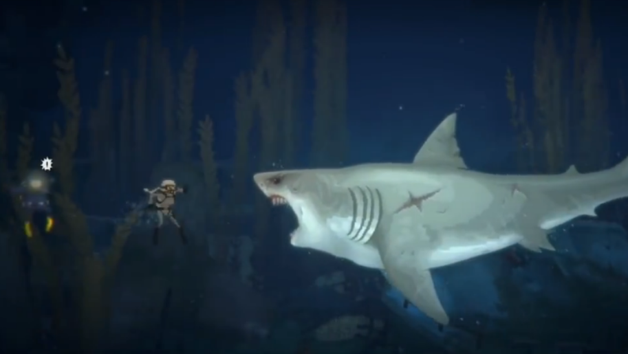 潜水员戴夫如何应对大白鲨克劳斯 潜水员戴夫如何应对大白鲨克劳斯