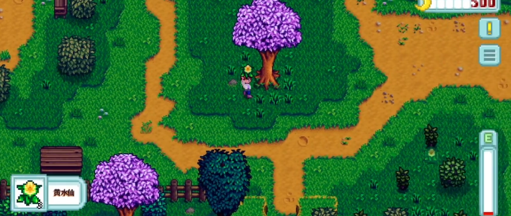 星露谷物语黄水仙怎么获得 星露谷物语黄水仙怎么获得