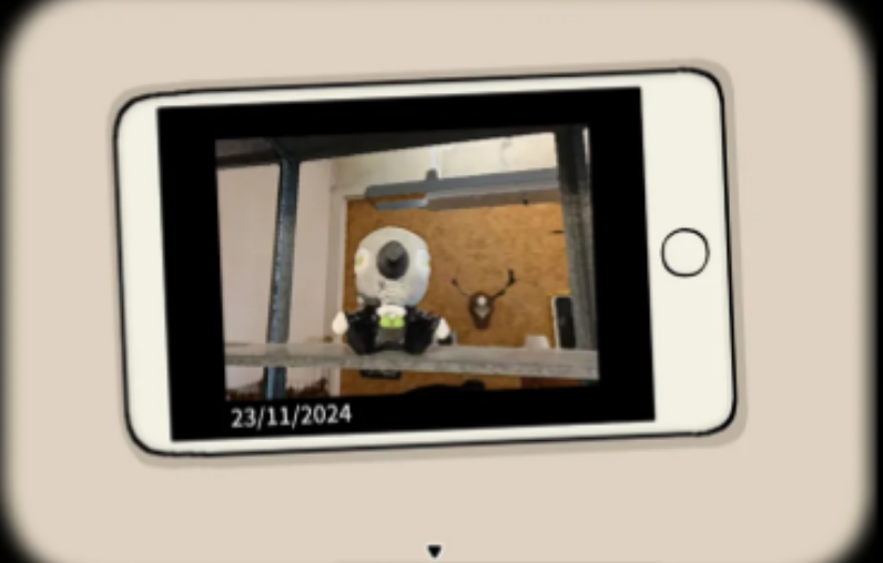 锈湖兔子先生的魔法秀结尾如何通关