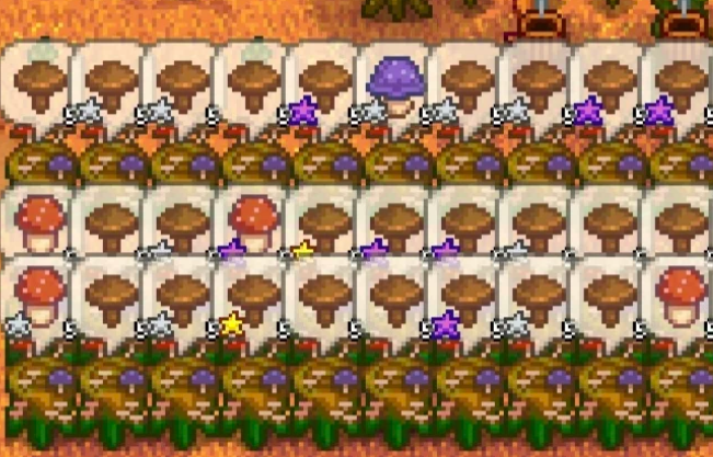 星露谷物语蘑菇树桩有什么用