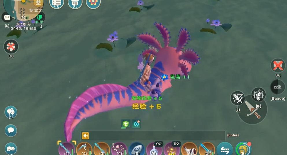 创造与魔法蓝莲有什么用