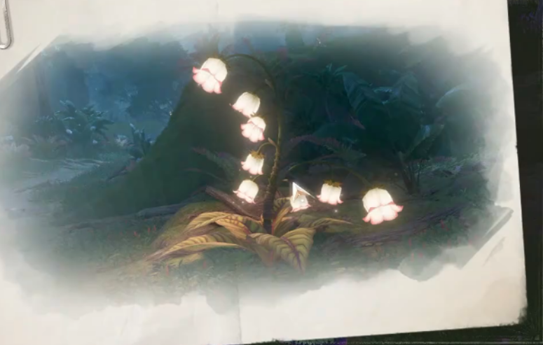 无限暖暖十七岁菇菇的雨季系列任务怎么做