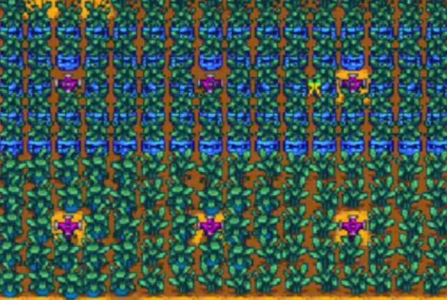 星露谷物语特别任务齐先生的作物怎么完成