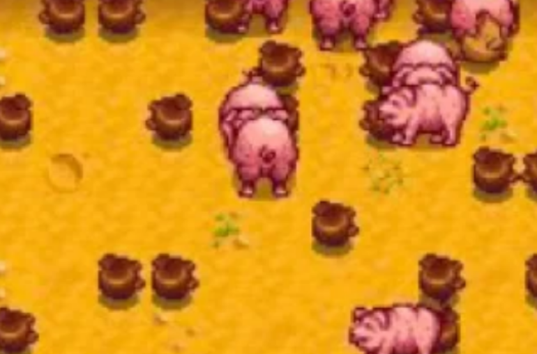 星露谷物语松露是直接卖好还是加工卖好