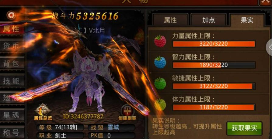 全民奇迹魔剑士怎么打