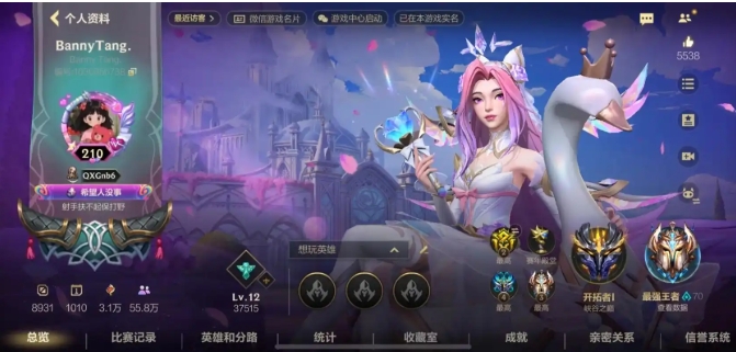英雄联盟手游战争旗帜有什么用