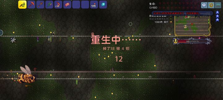 泰拉瑞亚打完大眼打什么