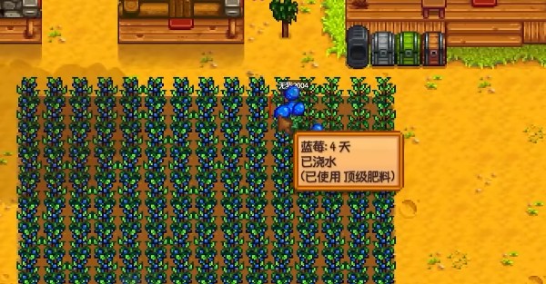 星露谷物语肥料最大收益的使用技巧有哪些