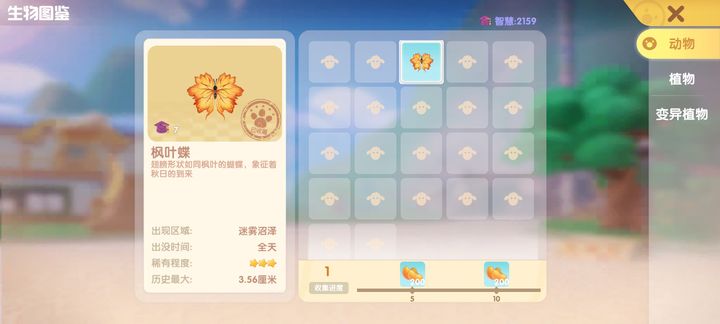 摩尔庄园黑暗森林怎么抓蝴蝶