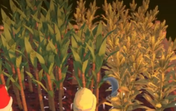 金垦小镇怎么种植