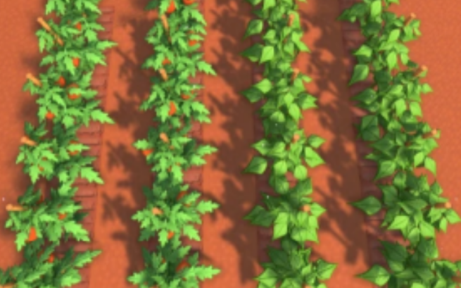 金垦小镇怎么种植