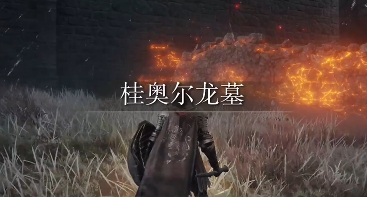 艾尔登法环在哪刷魂快