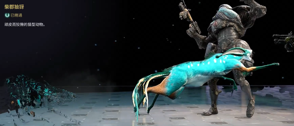 星际战甲好运猫怎么叫的勤快