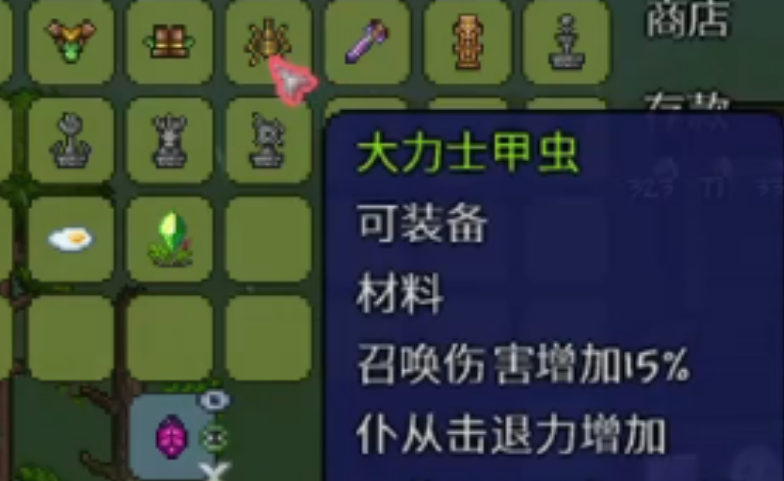 泰拉瑞亚甲虫莎草纸如何获得