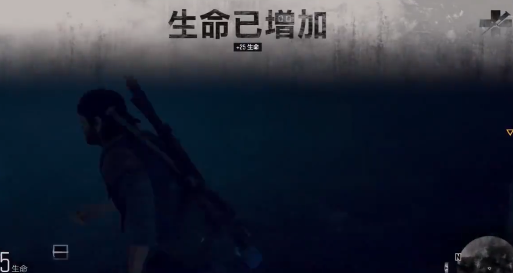 往日不再注射器加什么好 往日不再注射器加什么好