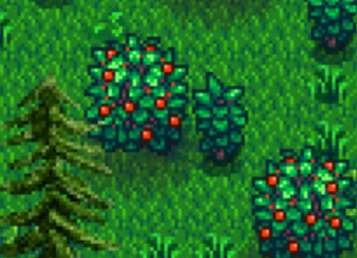 星露谷物语树莓黑莓有什么用