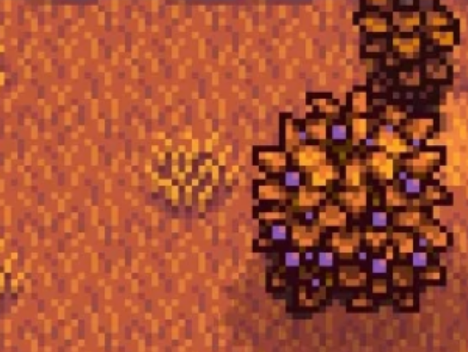 星露谷物语树莓黑莓有什么用